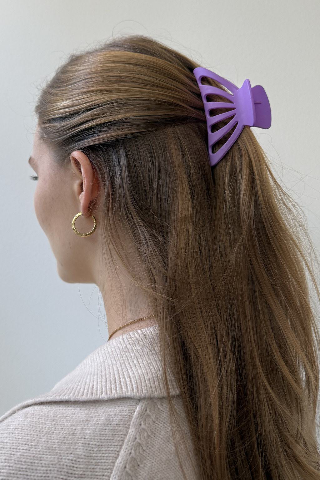 Clip à griffe creuse - violet